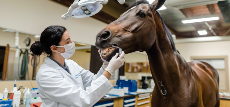 Zonder klanten geen ondernemer