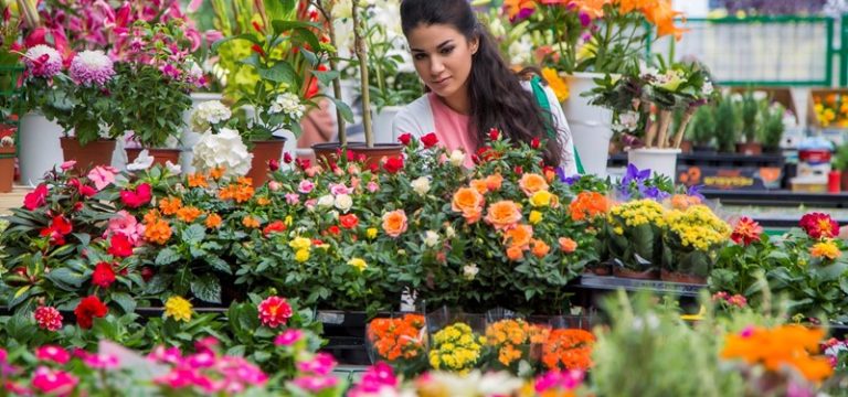 Fictieve vervreemding aanmerkelijk belang bij overlijden