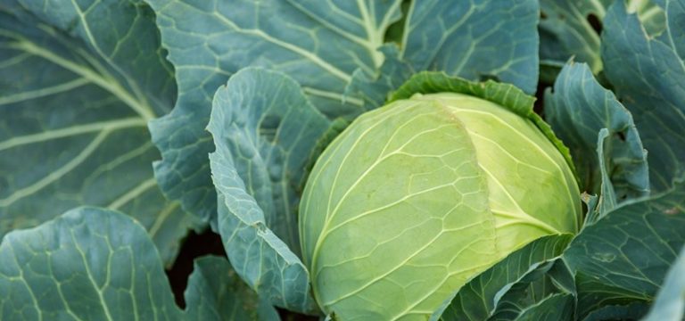 Inbreng niet geruisloos door gemiste voorwaarden